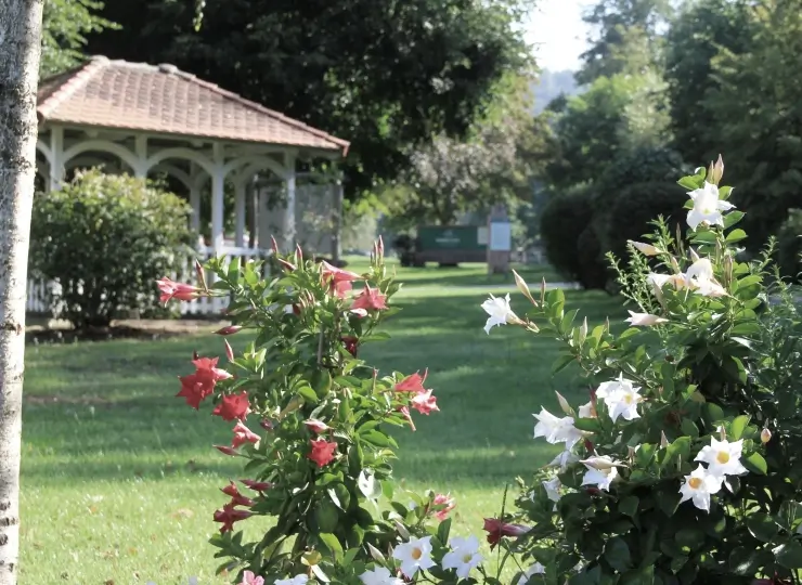 show_gruppen_Blumen-vor-Pavillon-jpg