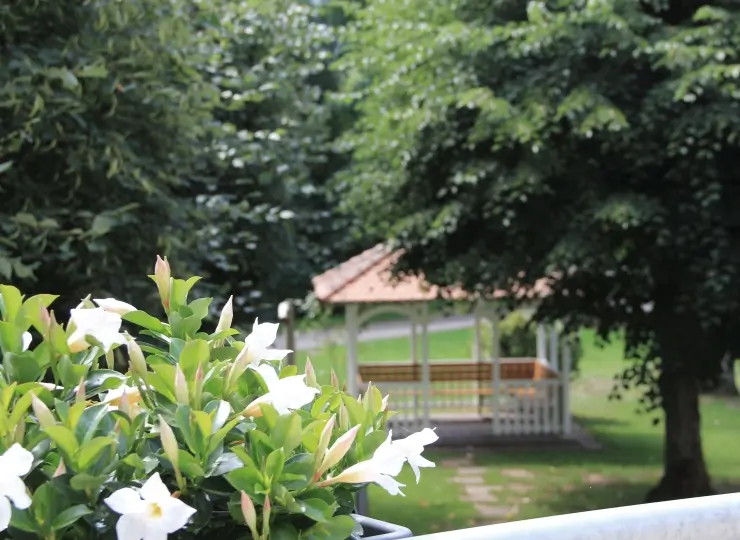 show_gruppen_Gelaende-jpg