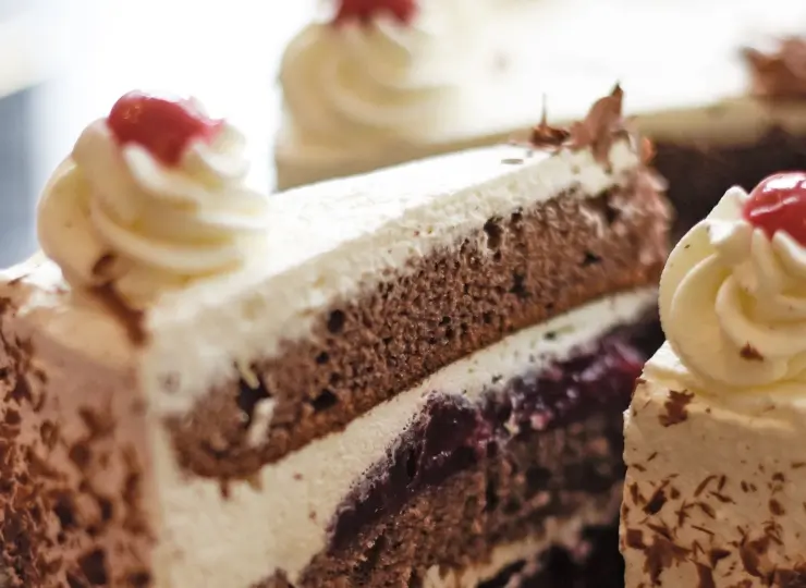 show_gruppen_Schwarzwaelder_Stueck-jpg