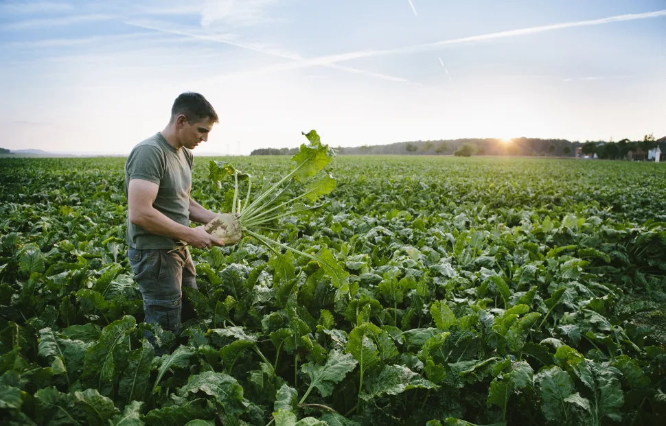 Seminar für Landwirte I