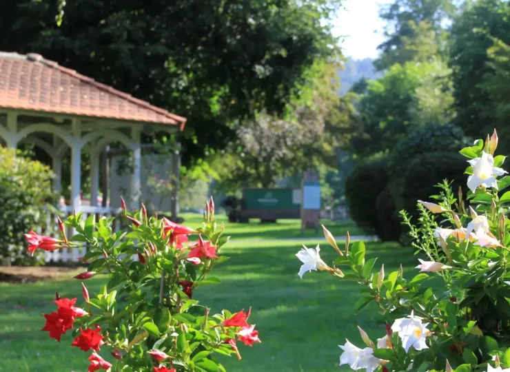 header-ueber-uns_1920px