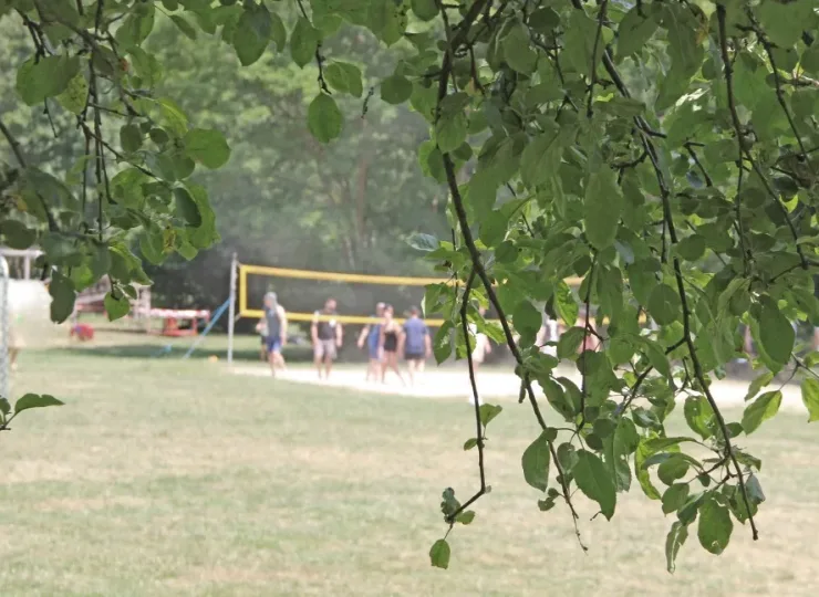 show_K_9_Gelaende-blurr_IMG_0047